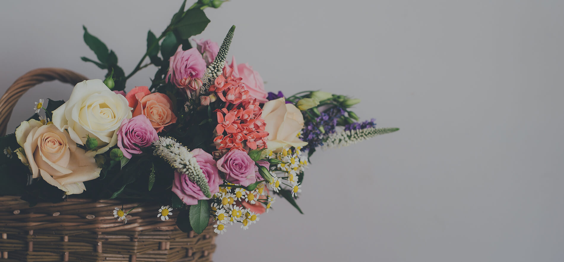 Fleurs